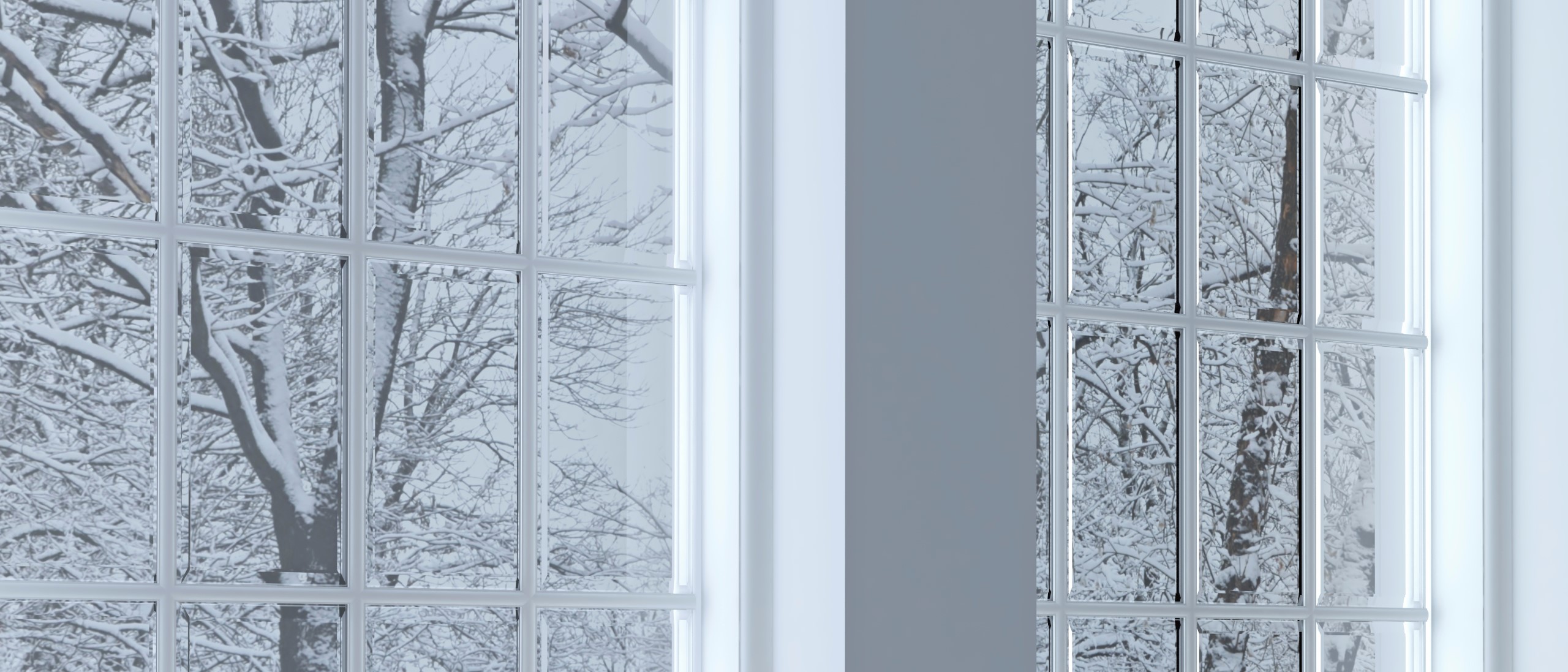 Snowy winter landscape through the window.